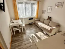 Pronájem bytu 1+1, Loket, Sportovní, 35 m2