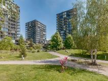 Pronájem garážového stání, Praha - Žižkov, Pitterova, 13 m2