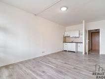 Pronájem bytu 1+kk, Ostrava - Moravská Ostrava, Lechowiczova, 25 m2