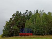 Prodej lesa, Budětice - Vlkonice, 32746 m2