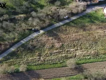 Prodej komerčního pozemku, Hustopeče, 2813 m2