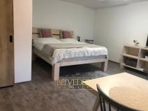 Pronájem bytu 1+kk, Teplice, Rokle, 32 m2