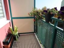 Pronájem bytu 1+kk, Brno - Líšeň, Molákova, 35 m2