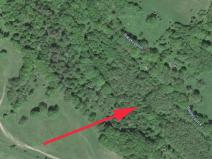 Prodej lesa, Trutnov, 13585 m2