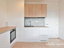 Pronájem bytu 1+kk, Brno, Křenová, 28 m2