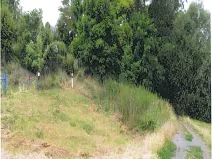 Prodej lesa, Dolní Věstonice, 1179 m2