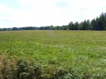 Dražba pole, Rožmitál pod Třemšínem, 10000 m2