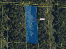 Dražba lesa, Vracov, 1662 m2