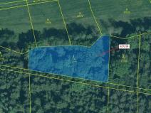 Dražba lesa, Stehlovice, 2071 m2