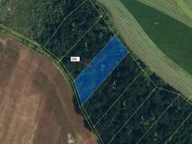 Dražba lesa, Přešovice, 1947 m2