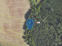 Dražba lesa, Sýkořice, 1242 m2