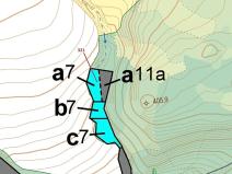 Dražba lesa, Sýkořice, 1242 m2