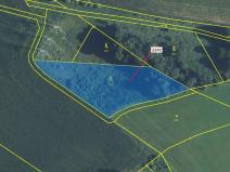 Dražba lesa, Trpík, 3972 m2