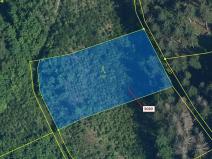 Dražba lesa, Benešov u Semil, 2540 m2