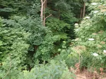 Dražba pozemku, Děčín, 2255 m2