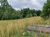 Dražba lesa, Ždírec, 1493 m2