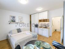 Pronájem bytu 1+kk, Brno, Cejl, 30 m2