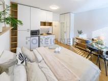 Pronájem bytu 1+kk, Brno, Cejl, 30 m2