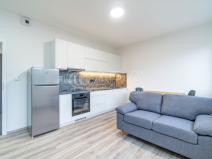 Pronájem bytu 1+kk, Kralupy nad Vltavou, S. K. Neumanna, 33 m2