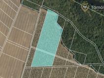 Prodej sadu/vinice, Tasovice, 13099 m2