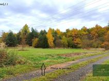 Prodej louky, Rokycany, K Lopatárně, 4651 m2