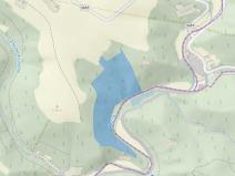 Prodej lesa, Štíty, 93672 m2