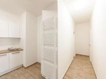 Pronájem bytu 2+1, Praha - Bubeneč, U zeměpisného ústavu, 46 m2