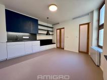 Pronájem bytu 1+kk, Brno, Peroutková, 25 m2