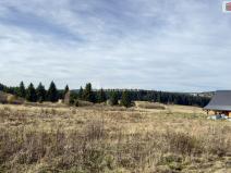 Prodej komerčního pozemku, Abertamy, Plešivecká, 836 m2