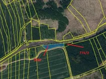 Prodej lesa, Popelín, 2730 m2