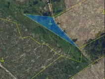Prodej lesa, Tis, 974 m2