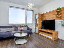 Pronájem bytu 1+1, Praha - Hostivař, plukovníka Mráze, 45 m2