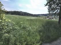 Prodej zahrady, Děčín, 10314 m2