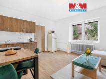 Pronájem bytu 1+kk, Plazy, 30 m2