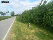 Prodej pole, Doubravice, 17750 m2