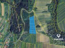 Prodej podílu pole, Syrovín, 281 m2