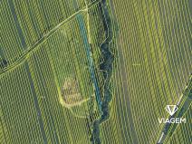 Prodej pole, Hrubá Vrbka, 1379 m2