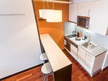 Pronájem bytu 1+kk, Praha - Nusle, Svatoplukova, 33 m2