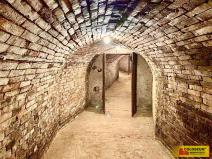 Prodej - jiné, Nový Šaldorf-Sedlešovice - Nový Šaldorf, 145 m2