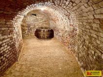 Prodej - jiné, Nový Šaldorf-Sedlešovice - Nový Šaldorf, 145 m2