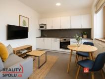 Pronájem bytu 1+kk, Světnov, 37 m2