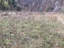 Prodej komerční nemovitosti, Prackovice nad Labem, 91000 m2