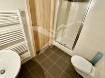 Pronájem bytu 1+kk, Plzeň, Nemocniční, 29 m2