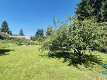 Prodej zemědělské usedlosti, Hlubyně, 300 m2