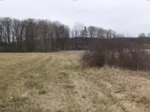 Dražba louky, Dříteň, 1815 m2