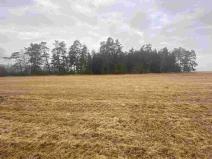 Prodej pole, Hospříz - Hrutkov, 7435 m2