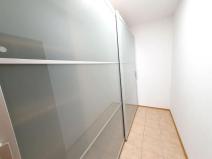 Pronájem bytu 2+kk, Praha - Dejvice, Paťanka, 60 m2