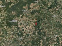 Prodej lesa, Kozárovice, 40085 m2