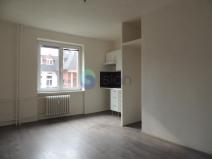 Pronájem bytu 1+kk, Ostrava - Mariánské Hory, Slavníkovců, 22 m2