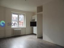 Pronájem bytu 1+kk, Ostrava - Mariánské Hory, Slavníkovců, 22 m2